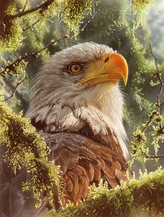 High And Mighty Jigsaw Puzzle