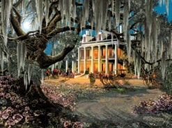 Moonlight And Lace Jigsaw Puzzle