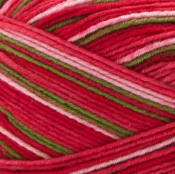 Premier® Premier Fruits Sock Yarn 15 Premier® Premier Fruits Sock Yarn -Crocheting Supplies Store Guava d32257f6 3a80 43ab 8e38 fb57d4fd15a1