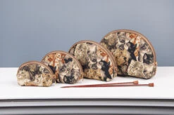 Kitten Tapestry Cosmetic And Accessories Bags