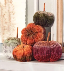 Premier® Painterly Pumpkins Knit Kit
