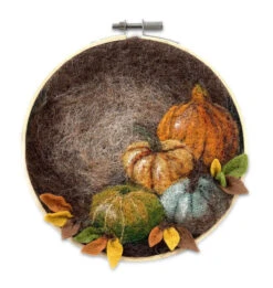 Pumpkin In A Hoop Needle Felting Kit