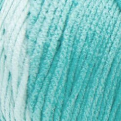 Red Heart Super Saver Ombre Yarn -Crocheting Supplies Store yy2613970 cc97f456 8378 4cce 8118 fe97796f78a3